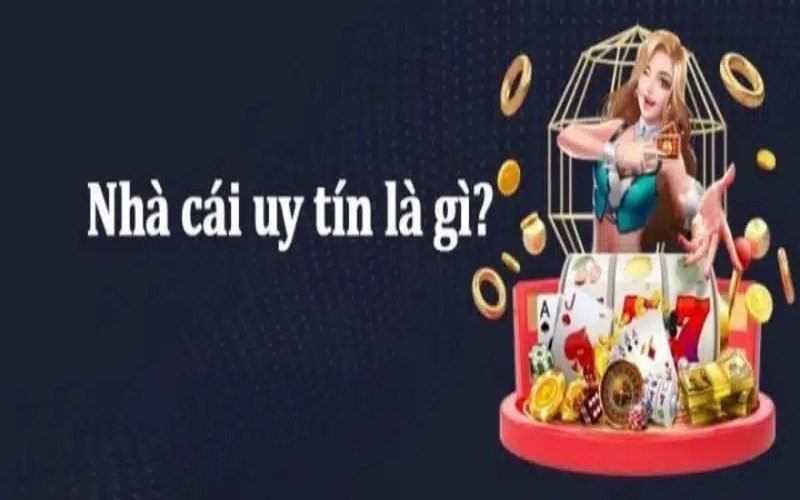 Thông tin chi tiết về nhà cái uy tín Winvn